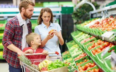 Controle de pragas no segmento de alimentos: entenda a importância do serviço